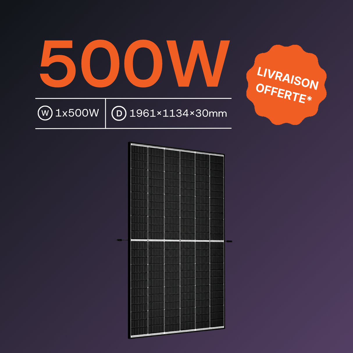 Panneau solaire Trina Solar 500Wc