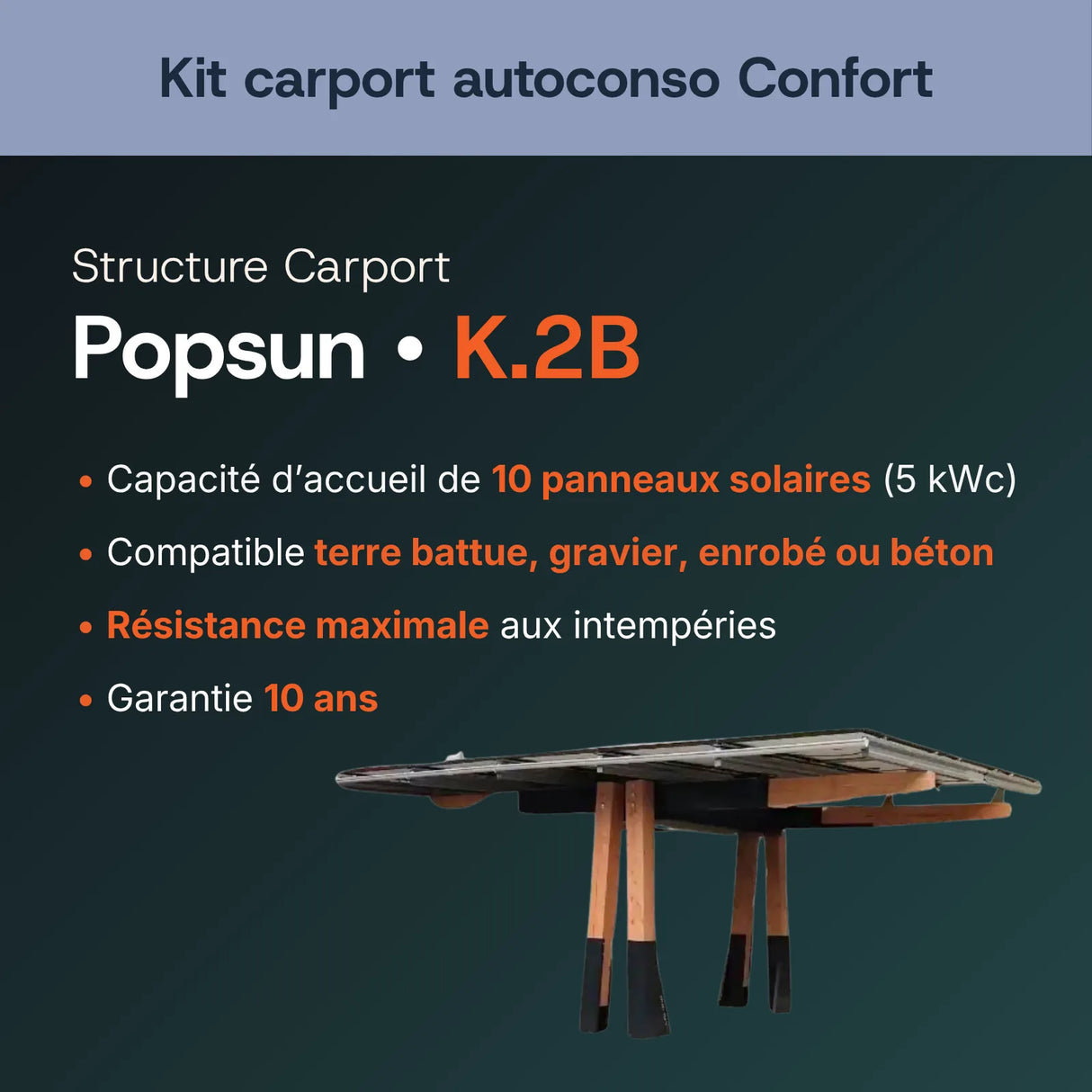 Structure carport bois Popsun K.2B