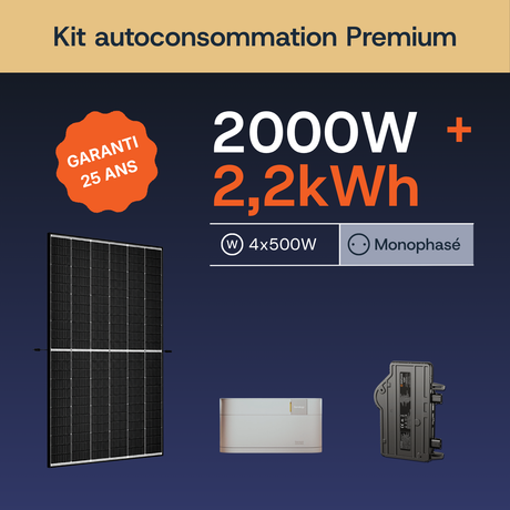 Premium 2000W/2,2 Mono