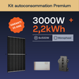 Premium 3000W/2,2 Mono