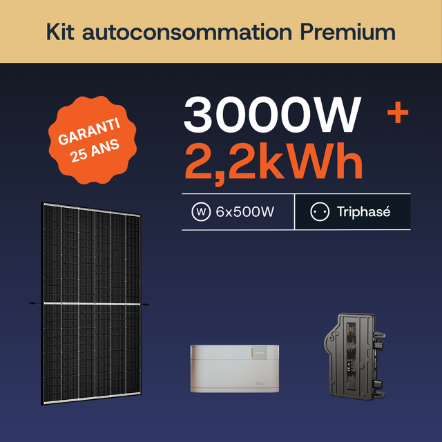 Premium 3000W/2,2 Tri