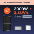 Essentiel 3000W/2,2 Mono