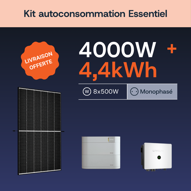 Essentiel 4000W/4,4 Mono