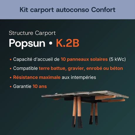 Structure carport bois Popsun K.2B