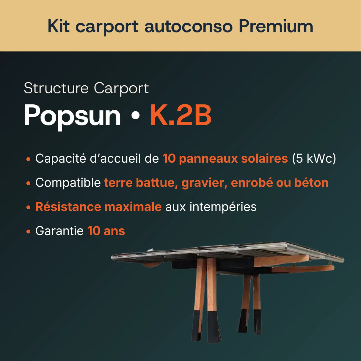 Structure carport bois Popsun K.2B