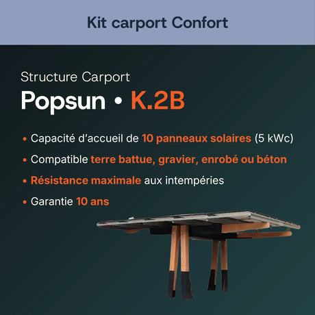 Structure carport bois Popsun K.2B