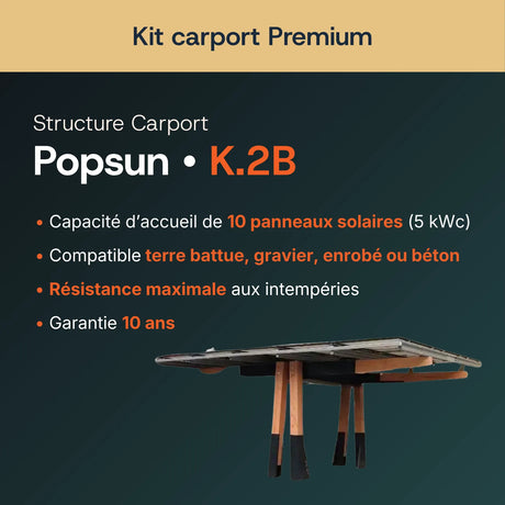 Structure carport bois Popsun K.2B