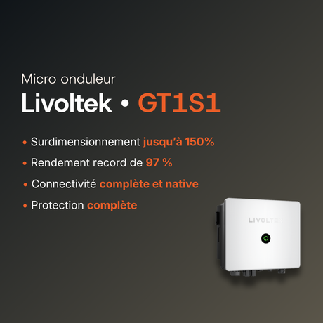 Onduleur Livoltek GT1S1